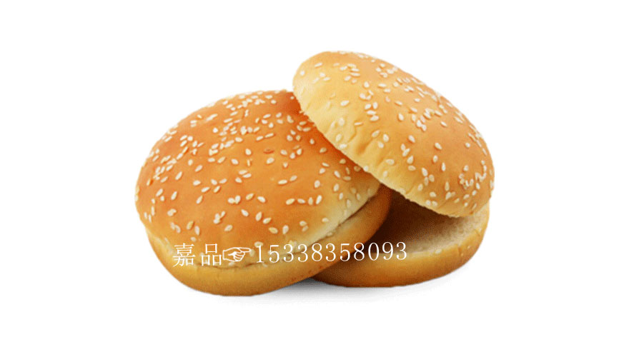 汉堡胚 汉堡胚