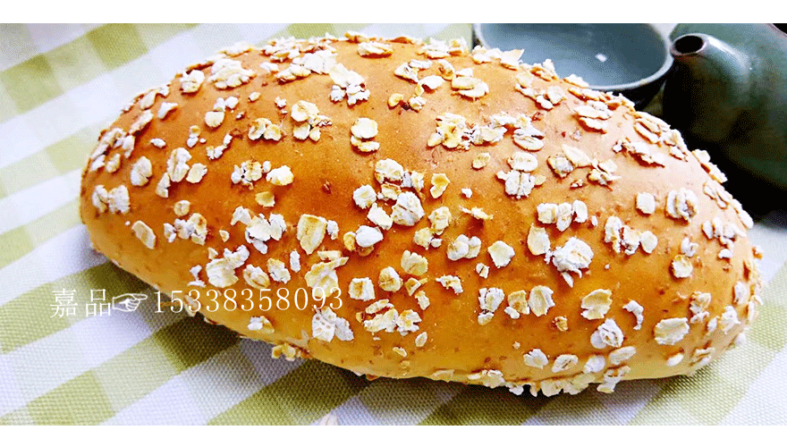 燕麦猪仔胚 燕麦猪仔胚