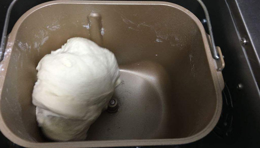 第一次发酵 第一次发酵